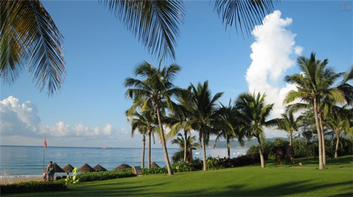 长今寿司石锅拌饭