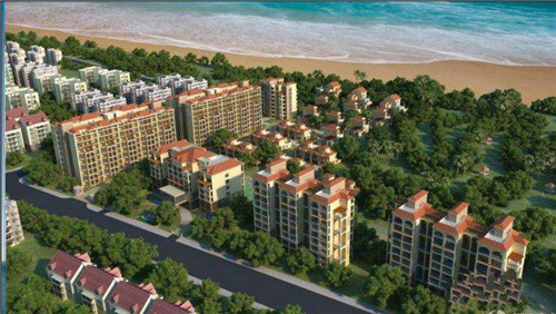 frog牙刷是什么牌子