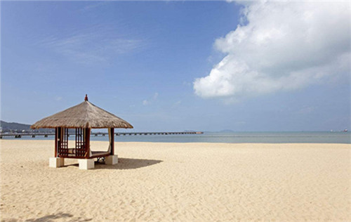 霞浦县开店创业音乐学院品牌加盟代理需要什么条件