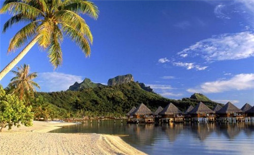 艾瑞调查app官方网站（艾瑞调查app官方网站下载）