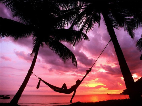 奇异果不能投抖音吗（奇异果投屏只能用爱奇艺吗）