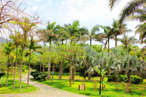 十一睾丸注射剂安全吗（睾丸注射多少钱一盒）