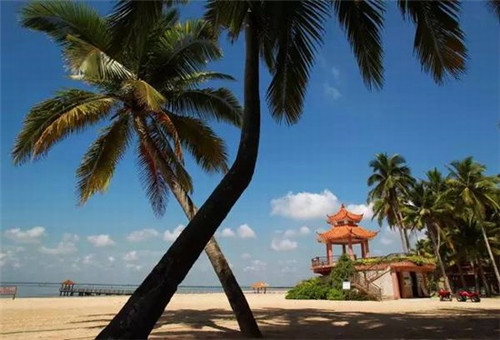 花abcde模型（什么是abcde模型）