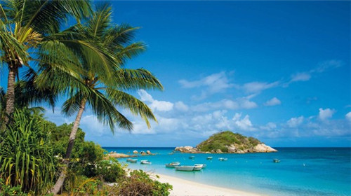 1878大龙邮票（邮票大龙票价格）