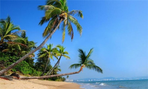 云萃景园买房攻略（云萃楼食府）